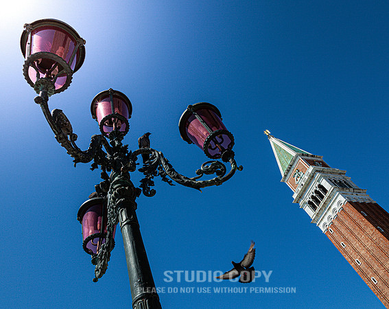 CDR_08152010_0195_MG_9788_venice