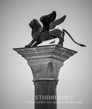 CDR_08152010_0230_MG_9823_venice