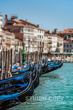 CDR_08152010_0361_MG_9919_venice
