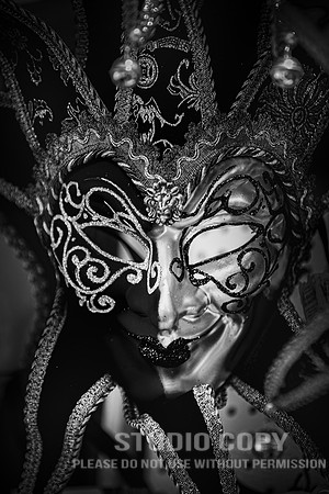 CDR_08152010_0385_MG_9943_venice