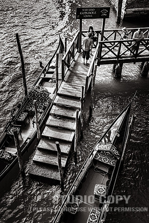 CDR_08152010_0497_MG_0057_venice