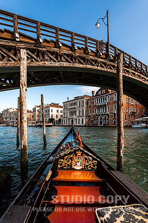 CDR_08152010_0559_MG_0119_venice