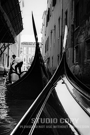 CDR_08152010_0663_MG_0225_venice
