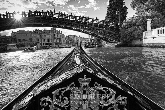 CDR_08152010_0746_MG_0309 copy_venice