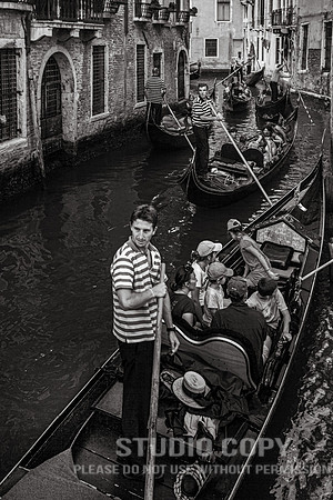 CDR_08152010_0785_MG_0348_venice
