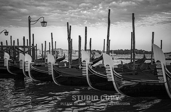 CDR_08152010_0940_MG_0504_venice