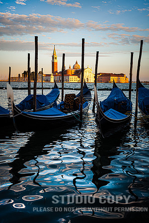 CDR_08152010_1072_MG_0636_venice