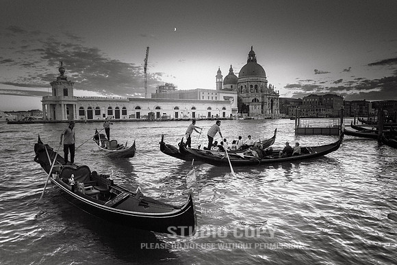 CDR_08152010_1261_MG_0825_venice