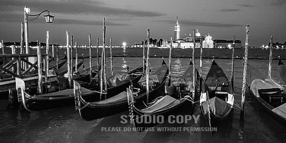 CDR_08152010_1592_MG_1159_venice