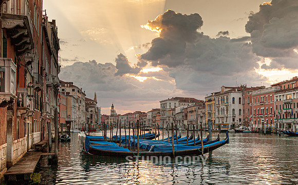 CDR_08162010_0098_MG_1397_venice