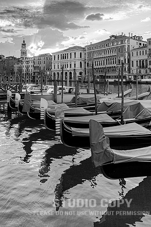 CDR_08162010_0135_MG_1434_venice