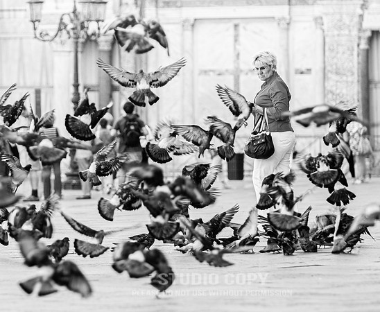 CDR_08162010_0523_MG_1822_venice