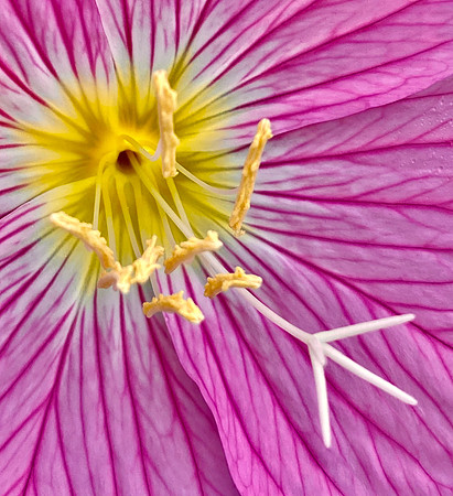 IMG_8290