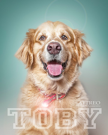 CDR_12312014_0422 Toby v3 with logo
