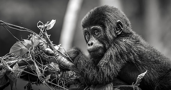 CDR_10292023_2136_Uganda_N