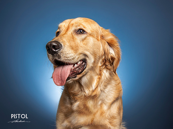 CDR_04132021_0208_Pawdography_Pistol