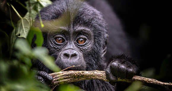 CDR_10292023_1445_Uganda_N
