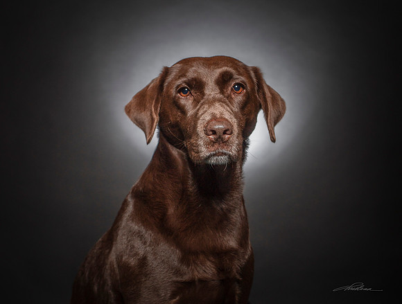 Zach_08052018_HS_5012 Kona