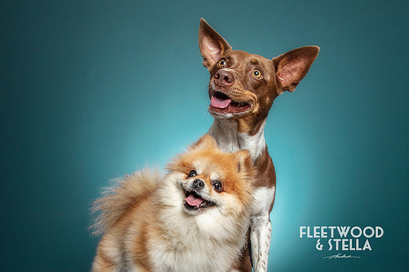 CDR_05072021_0326-Fleet & Stella _ Kim